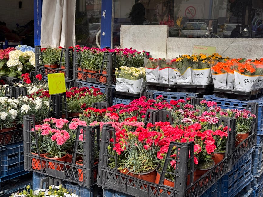 A display of various potted flowers outside a flower shop, featuring pink, red, white, yellow, and orange blooms arranged in black plastic crates. Some plants are wrapped in white paper, while others
